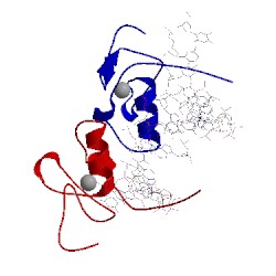 Image of CATH 3dfv