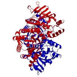 Image of CATH 3dhd