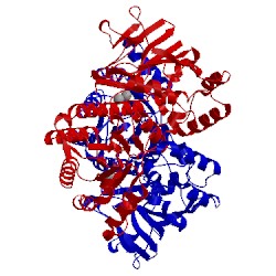 Image of CATH 3dhf