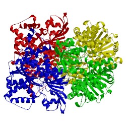 Image of CATH 3dhy