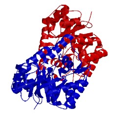 Image of CATH 3di1