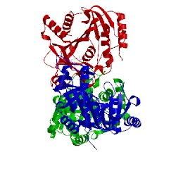 Image of CATH 3djf