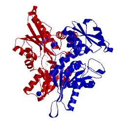 Image of CATH 3dki