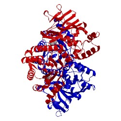 Image of CATH 3dkl