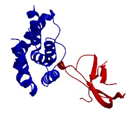 Image of CATH 3dlq