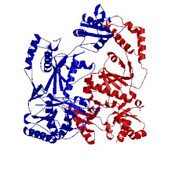 Image of CATH 3dm2