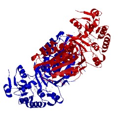Image of CATH 3dmy