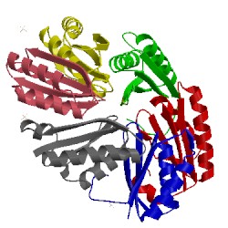 Image of CATH 3dn9