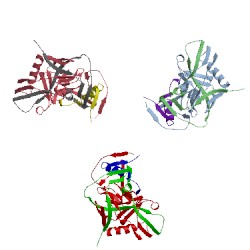 Image of CATH 3dnn