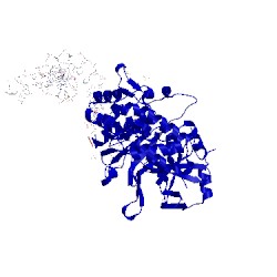 Image of CATH 3dnv
