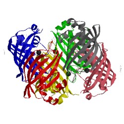 Image of CATH 3doy