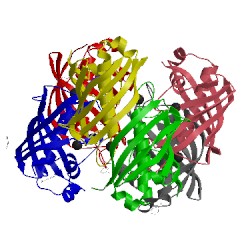 Image of CATH 3doz