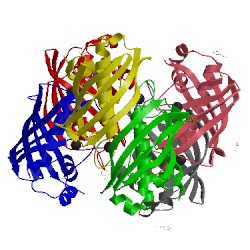Image of CATH 3dp1