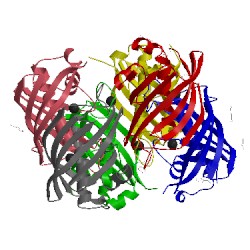 Image of CATH 3dp2