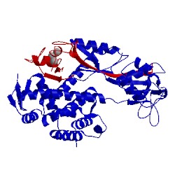 Image of CATH 3dpl