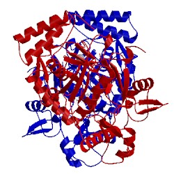 Image of CATH 3dqr