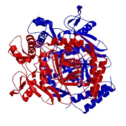 Image of CATH 3dqs