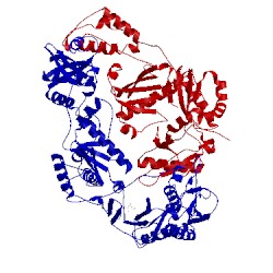 Image of CATH 3drp