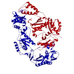 Image of CATH 3drs
