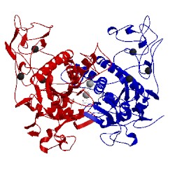 Image of CATH 3dsl