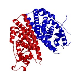Image of CATH 3dt3