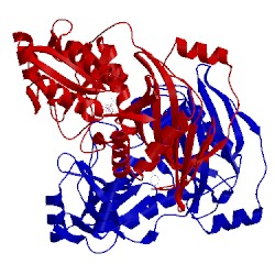Image of CATH 3dtg