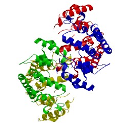 Image of CATH 3dto