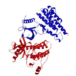 Image of CATH 3dtw