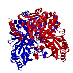 Image of CATH 3du4