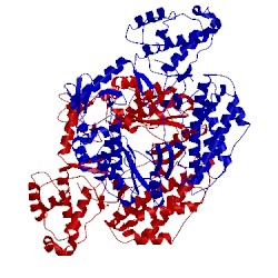 Image of CATH 3du5