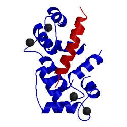 Image of CATH 3dvm