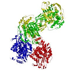 Image of CATH 3dwk