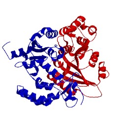 Image of CATH 3dzg