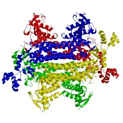 Image of CATH 3e04