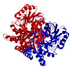 Image of CATH 3e2z