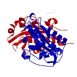 Image of CATH 3e39