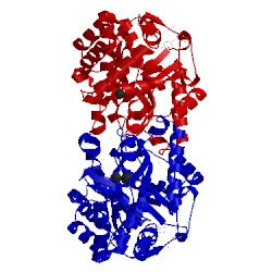 Image of CATH 3e3h