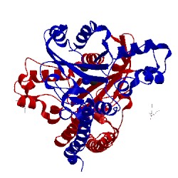 Image of CATH 3e45