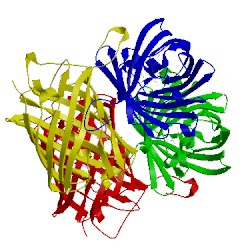 Image of CATH 3e5w