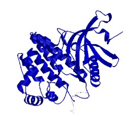 Image of CATH 3e64