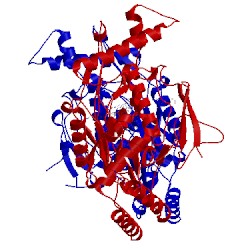 Image of CATH 3e65