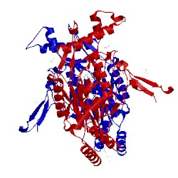 Image of CATH 3e68