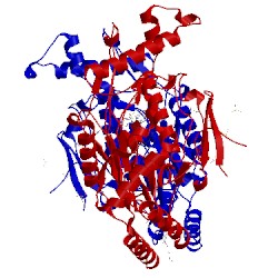 Image of CATH 3e6l