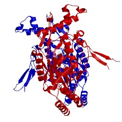 Image of CATH 3e6o
