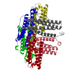 Image of CATH 3e6r