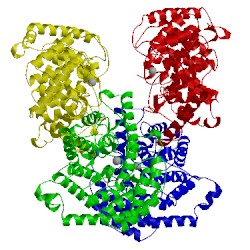 Image of CATH 3e6u