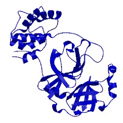 Image of CATH 3ea9