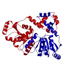 Image of CATH 3eaq