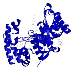 Image of CATH 3eau