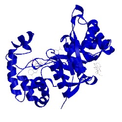 Image of CATH 3eb3